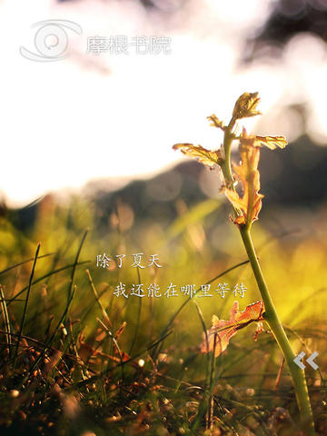 摩根書(shū)院HD V4.1 蘋(píng)果版 2