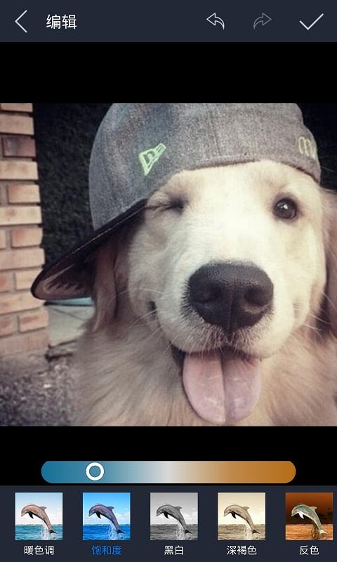 光影魔術(shù)師 v1.1.1 安卓版 0