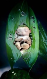 捉妖記胡巴動態(tài)壁紙 v1.0 安卓版 0