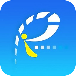 排客app(汽車服務(wù))