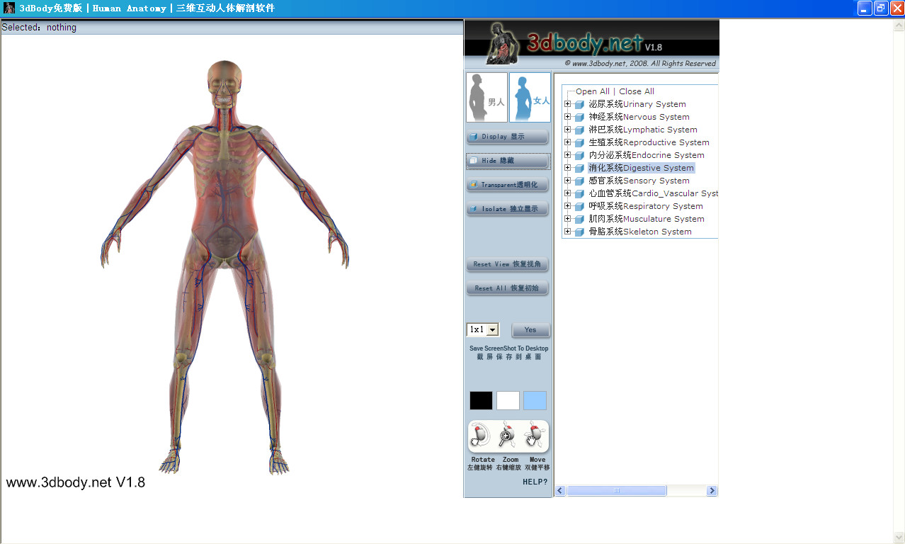 三維互動(dòng)人體解剖軟件(3dbody) v1.8 綠色中文版 0