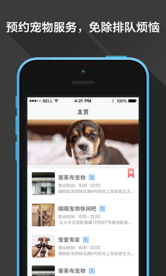 堅(jiān)果寵物 v1.0.1 官網(wǎng)安卓版 0