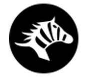 斑馬快跑司機(jī)端