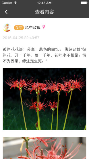 楓橋居花卉 v2.0.3 安卓版 1