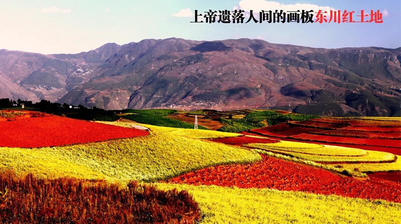 杰兔畫(huà)報(bào) v1.1.6.1312 安卓版 3