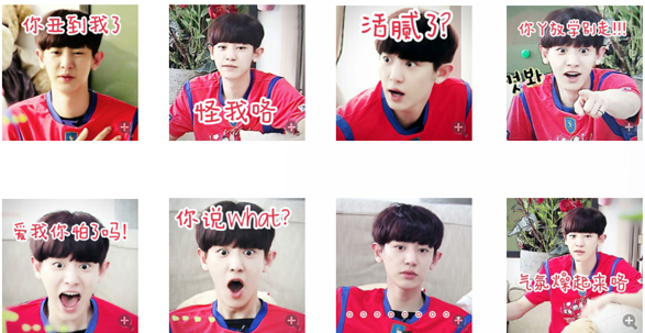 樸燦烈qq表情包  0