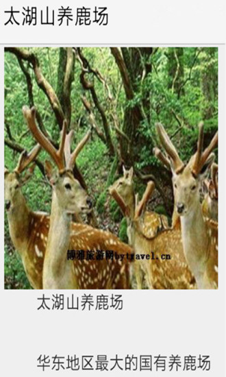 愛游馬鞍山 v4.1.0 安卓版 1