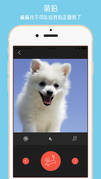 養(yǎng)寵無憂 v1.4.0 安卓版 0