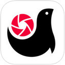 騰訊畫報iphone版