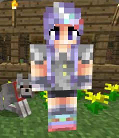 我的世界櫻花女孩皮膚  0