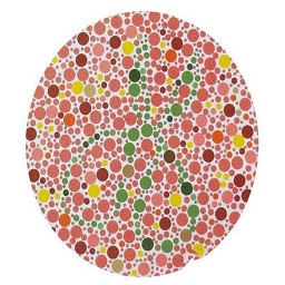 小馬色弱檢測(cè)