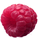 荔枝微博相冊下載助手