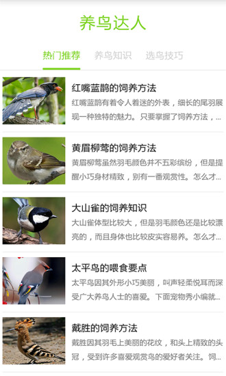 養(yǎng)鳥達(dá)人 v1.0 安卓版 0