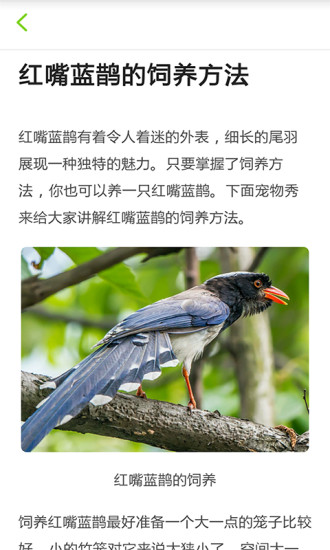 養(yǎng)鳥達(dá)人 v1.0 安卓版 1