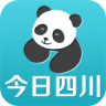 今日四川手機客戶端