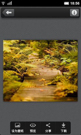 百度壁紙app v2.4.4 安卓版 2