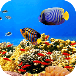 神秘海底動態(tài)壁紙