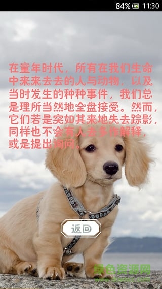 萌寵動(dòng)態(tài)壁紙 v1.1.0 安卓版 1