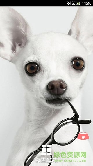 萌寵動(dòng)態(tài)壁紙 v1.1.0 安卓版 2