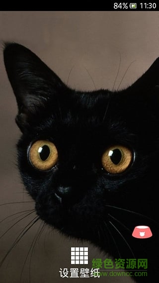 萌寵動(dòng)態(tài)壁紙 v1.1.0 安卓版 3