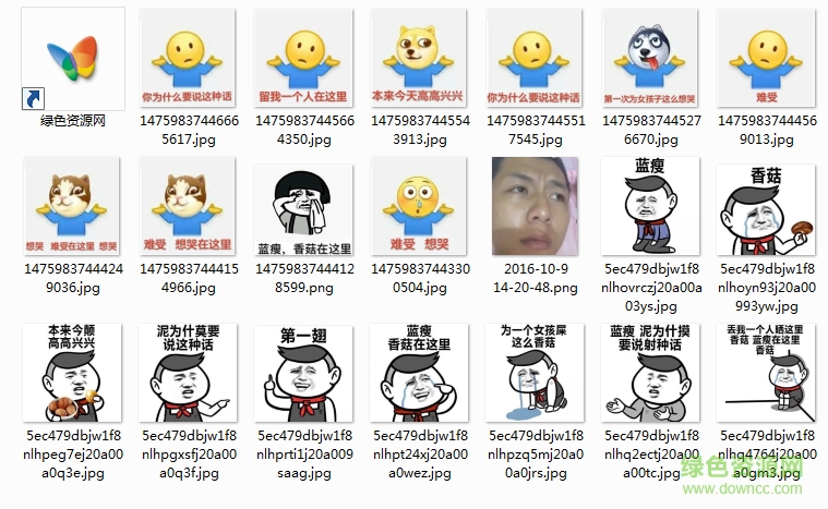 藍(lán)瘦香菇搞笑表情包  0