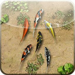 水塘高清創(chuàng)意動(dòng)態(tài)壁紙(百資水塘3D動(dòng)態(tài)壁紙)