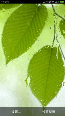 雨天壁紙 v1.2.11 安卓版 0