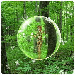 3d森林動態(tài)壁紙