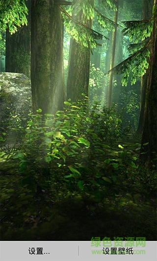 3d森林動(dòng)態(tài)壁紙 v1.1.7 安卓版 0