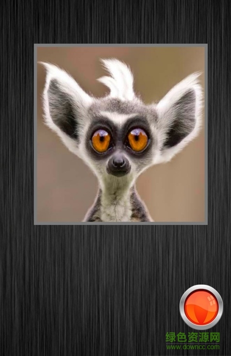 前世掃描儀 v1.0 安卓版 0