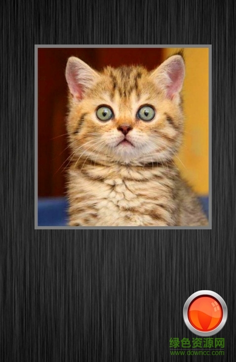 前世掃描儀 v1.0 安卓版 2