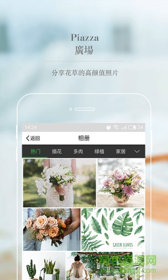 波奇四季手機版 v1.0.1 安卓版 3