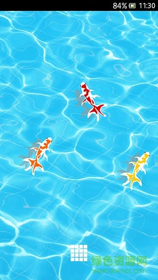 小魚兒動(dòng)態(tài)壁紙手機(jī)版0