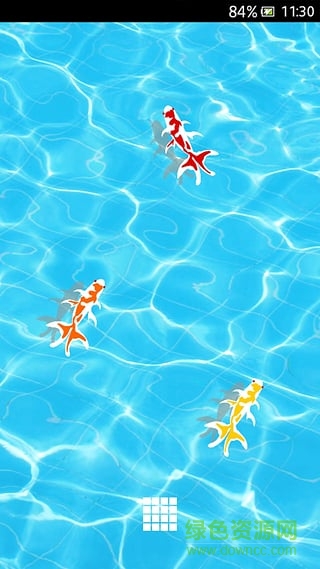 小魚兒動(dòng)態(tài)壁紙手機(jī)版1