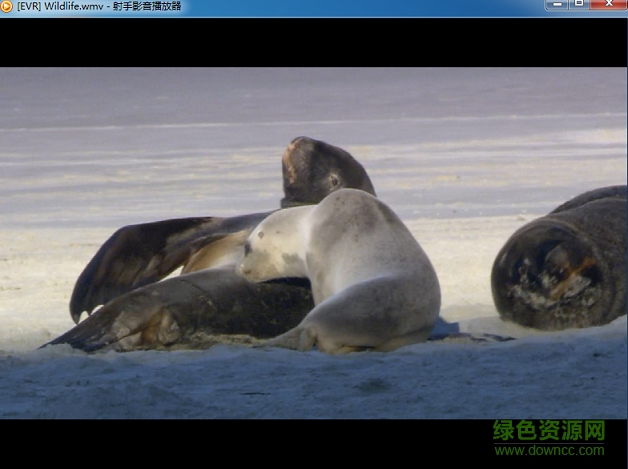 射手播放器360安全版 v3.7.0.2437 官方最新版 0