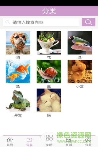 宠物平台手机客户端 v1 安卓版0