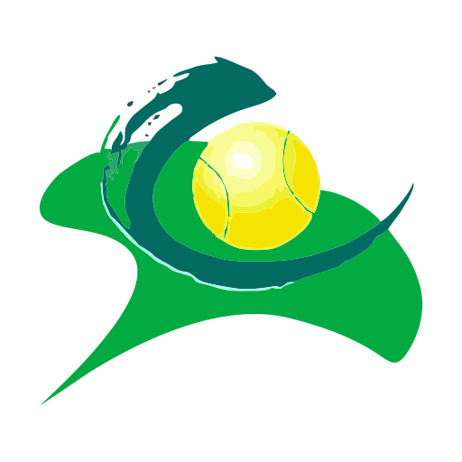 成都網(wǎng)悅手機客戶端