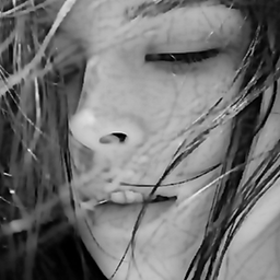 油畫(huà)相機(jī)