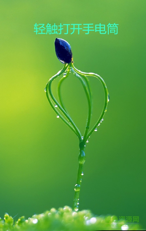 手電筒護(hù)眼寶手機(jī)版 v9.1.0.0 安卓版 0