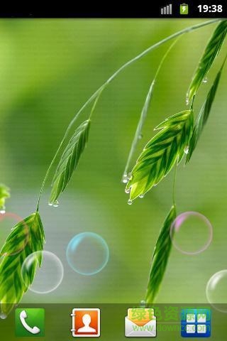 植物護眼動態(tài)壁紙 v1.0 安卓版 1