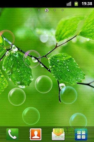 植物護眼動態(tài)壁紙 v1.0 安卓版 2