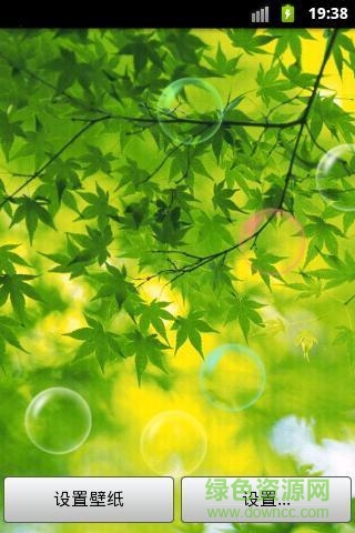 植物護眼動態(tài)壁紙app