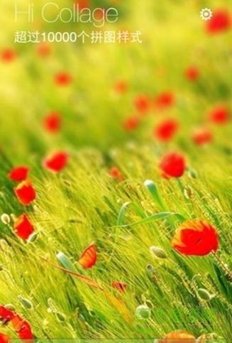 拼貼圖片 v1.3.5 安卓版 2