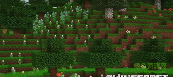 我的世界SrVill的高清3D材質(zhì)包 v1.6 官方版 0