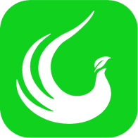 鳳凰茶(網(wǎng)絡(luò)購(gòu)物)