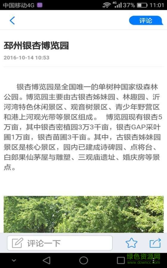 邳州銀杏 v1.0  安卓版 3