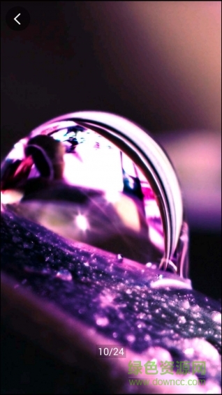 果果壁紙 v1.0.0 安卓版 3