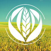 豐收管家手機版(店鋪管理)