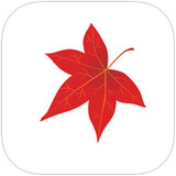 岳麓紅楓網(wǎng)手機(jī)客戶(hù)端