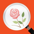 微軟識(shí)花(花草識(shí)別器)ios版